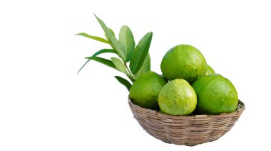 Beyaz arka planda bambu sepeti yapraklı yeşil Guava veya amrudh.