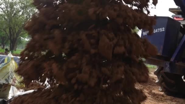 Августа 2023 Года Джайпур Раджастан Индия Рыть Ямы Посадки Деревьев — стоковое видео