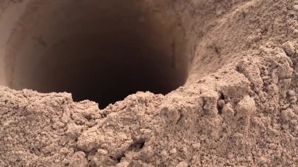 Buraco Profundo Solo Chão Cavando Buraco Gramado Para Planta — Vídeo de Stock