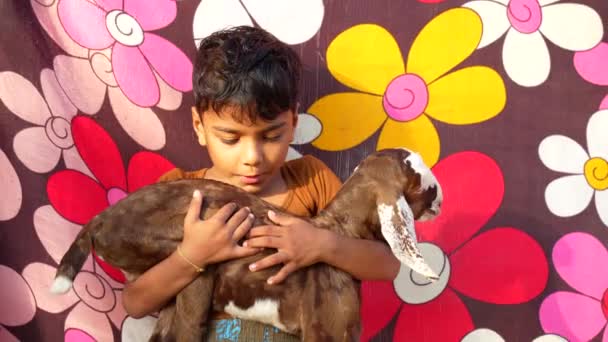 Niño Indio Sosteniendo Cabra Pequeña Fondo Tela Flores Mascotas Concepto — Vídeos de Stock