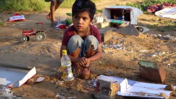 Házi Kecskék Indiai Házi Bogár Kecskék Felvétele Kecske Gyerekekkel Legeltetés — Stock videók