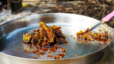 Bal peteği ve arı ya da akasya ağacında Apis Florea ve bulanık arkaplan. Vahşi Apis Mellifera Carnica ya da Batı Bal Arıları odalarında çalışan bal peteği yapısının ayrıntıları