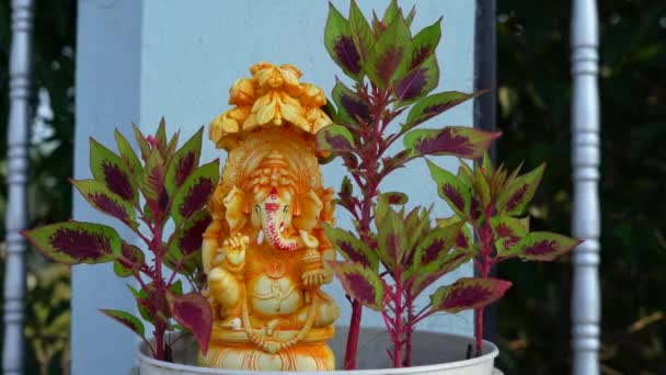 Accueil Plantes Intérieur Avec Idole Ganesha Déplaçant Par Vent Concept — Video
