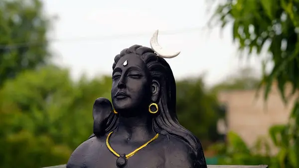 Ganesha勋爵 Adiyogi和Maa Durga Idol或绿叶背景下的雕像 印度节的概念 — 图库照片