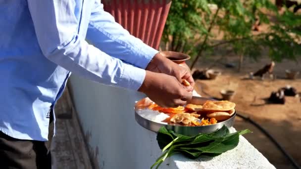 Индийский Религиозный Человек Положил Еду Зеленый Лист Шрад Пуджа Питру — стоковое видео