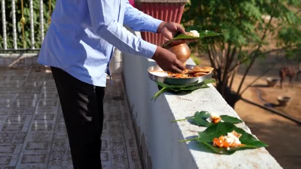 印度宗教人士把食物放在绿叶上 Shradh Puja或Pitru Paksha向已故和心爱的祖先致敬 — 图库视频影像