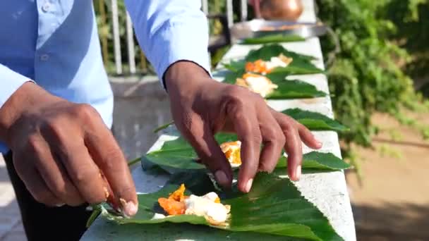 印度宗教人士把食物放在绿叶上 Shradh Puja或Pitru Paksha向已故和心爱的祖先致敬 — 图库视频影像