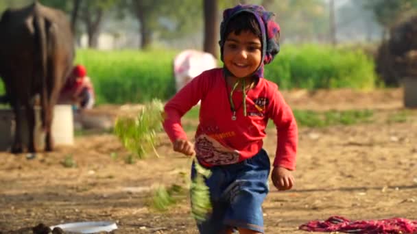 Індійський Хлопчик Вдома Ходить Зеленим Листям Барабанного Дерева Індійське Фото — стокове відео