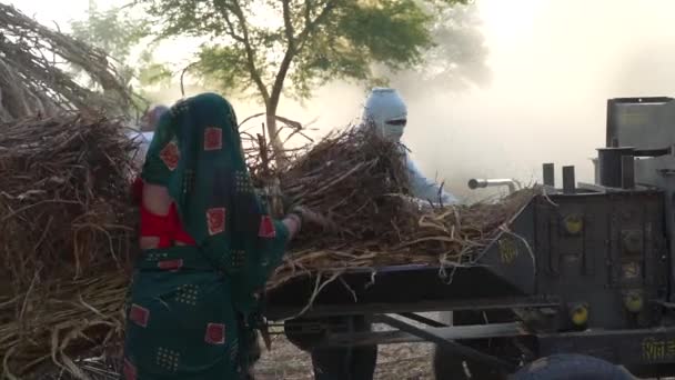 Indische Bauern Bei Der Dreschmaschine Dreschmaschine Beim Dreschen Der Perlhirseernte — Stockvideo