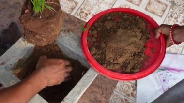 Tohum ekmek, terasta bahçıvanlık. Genç bahçıvan saksılara tohum ekiyor ve bahçedeki masada toprak duruyor.