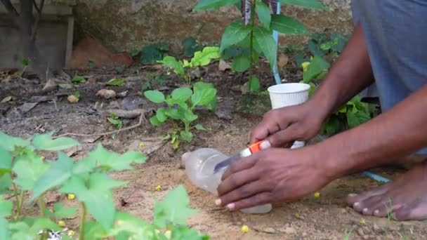 人工切碎塑料瓶 用塑料瓶水种植蔬菜 在花园里装潢 再利用和循环利用概念 — 图库视频影像