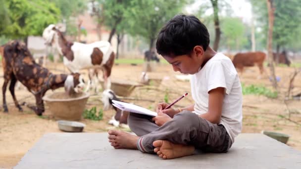Doing Homework School Schoolboy Sitting Bench Park Writing Book Little — Stock Video