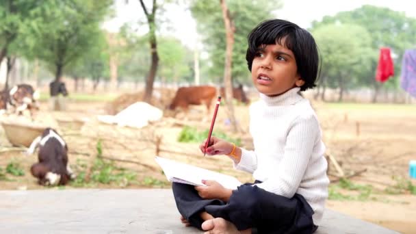 印度女学生正坐在公园的石头上 写着一本书 一个小女孩在大自然中做作业 — 图库视频影像