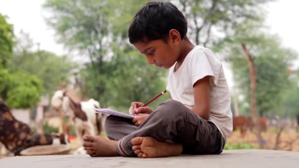 可怜的农村男孩在笔记本里做作业 坐在羊场附近的石头上 印度农村镜头 — 图库视频影像