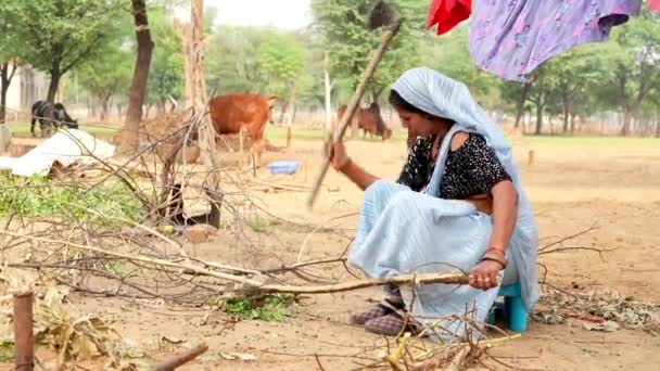 インドの村で薪を切断する女性 女性は薪で粘土のストーブで料理します — ストック動画
