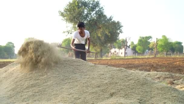 Agricultor Con Horquilla Mientras Mueve Heno Paja Establo Agricultor Masculino — Vídeo de stock