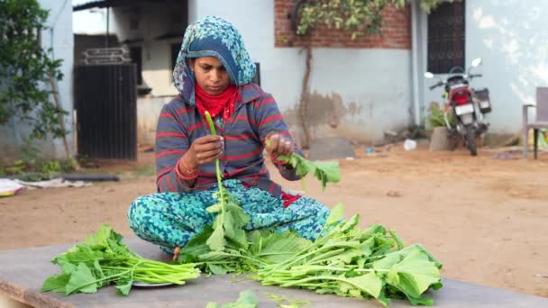 Asian Woman Preparing Mustard Greens Cooking Young Indian Lady Sitting — Stock Video