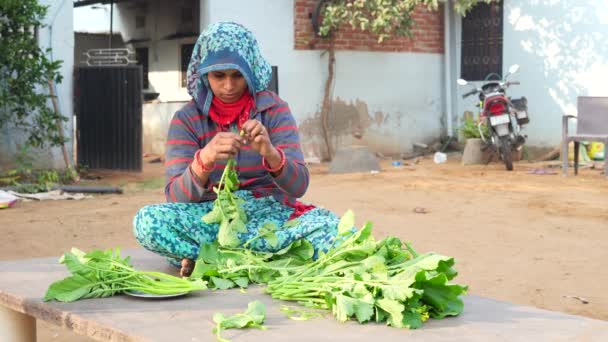 Gros Plan Femme Village Indien Préparant Collard Les Verts Moutarde — Video