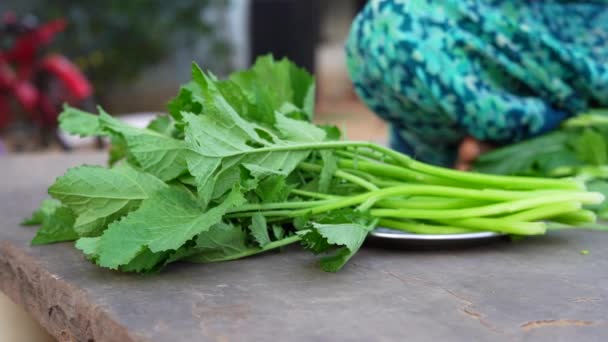 Hardal Yeşillikleri Vitamin Mineral Açısından Zengin Bir Sebzedir Vücudunun Sağlıklı — Stok video