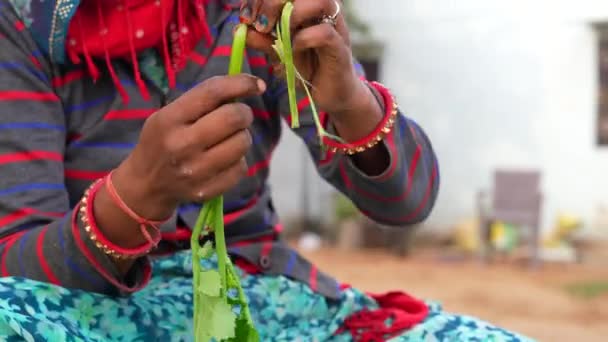 Жінка Очищає Гірчицю Від Зелені Один Популярних Листових Овочів Індії — стокове відео
