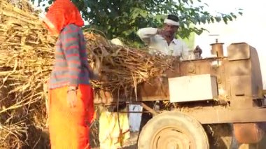 Tarım endüstrisi konsepti. Çağdaş harman makinesi saman kabuğu fırtınası olan bir tarlada çalışıyor. 25 Kasım 2023 Jaipur, Rajasthan, Hindistan.