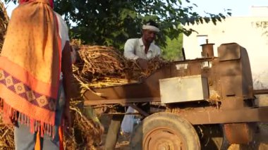 Saman, sap, bajra ya da darı hasadından ayrılmış kabuk, harman makinesinden yavaş uçar. 25 Kasım 2023 Jaipur, Rajasthan, Hindistan.