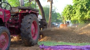 Saman, sap, bajra ya da darı hasadından ayrılmış kabuk, harman makinesinden yavaş uçar. 25 Kasım 2023 Jaipur, Rajasthan, Hindistan.