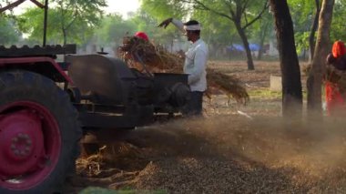 Saman, sap, bajra ya da darı hasadından ayrılmış kabuk, harman makinesinden yavaş uçar. 25 Kasım 2023 Jaipur, Rajasthan, Hindistan.