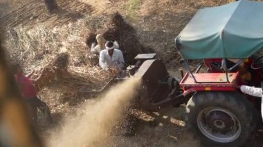Traktörler ve harman makinesiyle geleneksel saman yapma. Pennisetum glaucum harman makinesi. Bajara tanelerini inci darı pipetinden mekanik olarak ayırıyor. 25 Kasım 2023 Jaipur, Rajasthan, Hindistan.