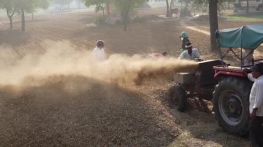 Asyalı çiftçi evcil hayvanlar için kuru yem topladıktan sonra harman makinesiyle darı kesiyor. İnsansız hava aracı görüntüleri. 25 Kasım 2023 Jaipur, Rajasthan, Hindistan.