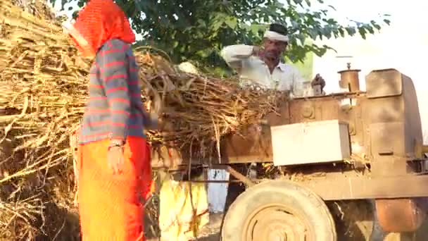 农业工业概念 现代脱粒机在稻草外壳刮风的田里工作 2023年11月25日Jaipur Rajasthan India — 图库视频影像