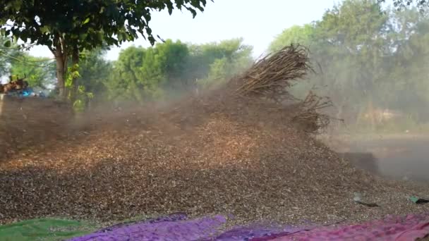 ストロー ストーカー ハスクはカブラまたはミレットの作物から分離し スリッパマシンからゆっくり飛びます 11月2023 ジャイプール ラジャスタン インド — ストック動画