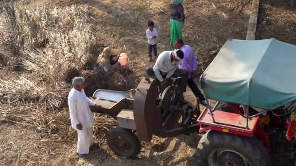 Ασιάτης Αγρότης Κοπής Κεχρί Καλλιέργεια Από Αλωνιστική Μηχανή Μετά Συγκομιδή — Αρχείο Βίντεο