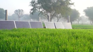Hindistan 'ın kırsal kesimlerinde düzgün düzenlenmiş güneş panelleri. Sisli bir günde bir dizi güneş paneli. Bir güneş çiftliğinin resimleri