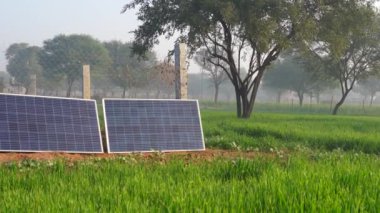 Sahadaki güneş paneli, güneş enerjisi istasyonu, Hindistan kırsalında yenilenebilir enerji..