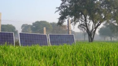 Sahadaki güneş paneli, güneş enerjisi istasyonu, Hindistan kırsalında yenilenebilir enerji..