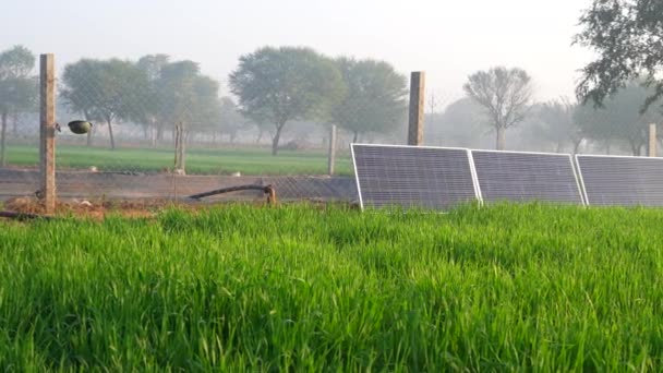 Solenergi Solpanel Platta Installerad Jordbruk Grönt Fält Område Solpaneler Vetegård — Stockvideo