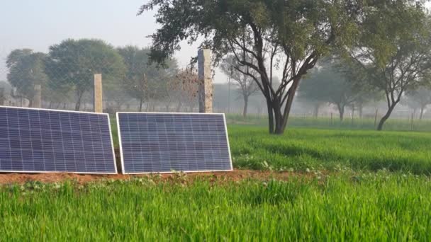 Panel Słoneczny Terenie Elektrownia Słoneczna Energia Odnawialna Obszarach Wiejskich Indii — Wideo stockowe