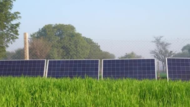 Упорядоченные Солнечные Батареи Сельской Местности Индии Ряд Солнечных Батарей Туманный — стоковое видео