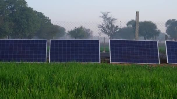 Solar Farm Prydligt Arrangerade Solpaneler Landsbygden Indien Solpaneler Dimmig Dag — Stockvideo