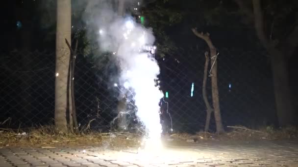 Mensen Steken Aarden Lamp Diya Brandende Crackers Ter Gelegenheid Van — Stockvideo