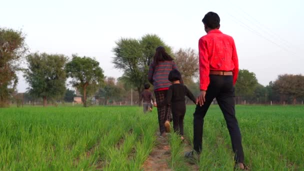 Indian Little Girls Boys Having Fun Green Field Winter Evening — Stock Video