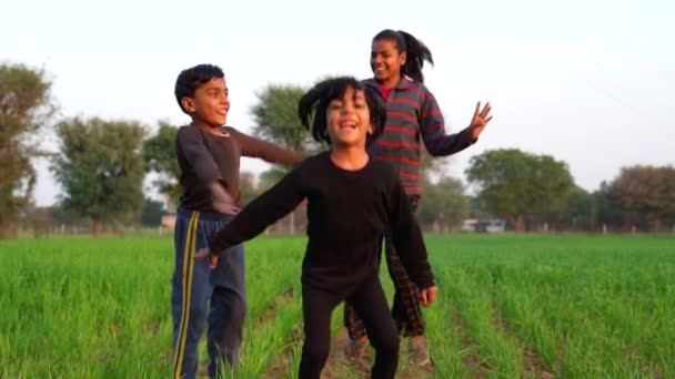 Grupo Crianças Jogando Jogos Divertindo Natureza Crianças Pequenas Alegres Dançando — Vídeo de Stock