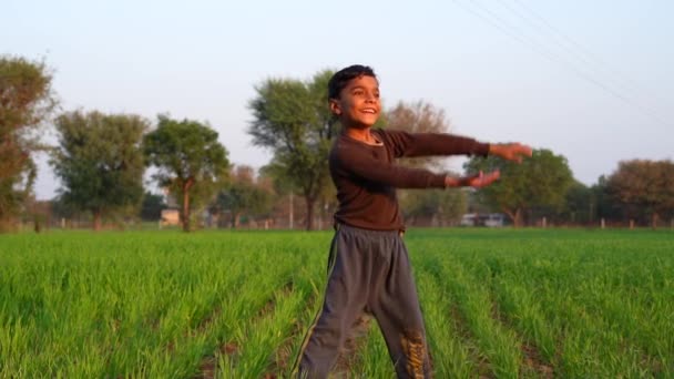 冬の日没に小麦の畑で走っている子供たち アジアの小さな少年が緑色の牧草地で踊っています 冬の楽しいアウトドア — ストック動画