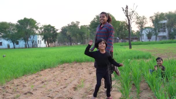Indian Little Girls Boys Having Fun Green Field Winter Evening — Stock Video