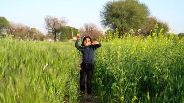 Siyah saçlı kız buğday tarlasında koşuyor. Özgürlük, çocukluk, yaşam tarzı konsepti.