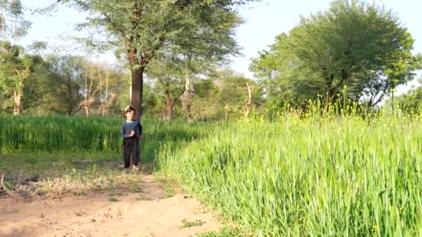 Little Girl Running Cross Wheat Field Sunset Slow Motion — Stock Video