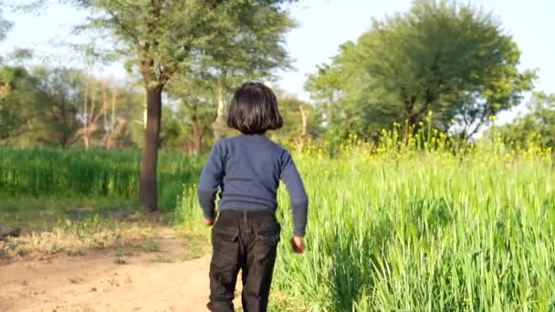 Beautiful Little Girl Laughing Running Hand Wheat Field Sunset Freedom — Stock Video