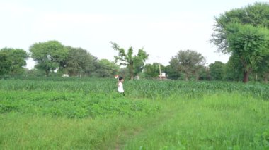 Hintli çocuklar Bağımsızlık Günü 'nü ya da Cumhuriyet Günü' nü kutluyor. Beyaz tişörtlü ve Kızılderili bayrağı taşıyan çocuklar. Asya kırsalının görüntüleri