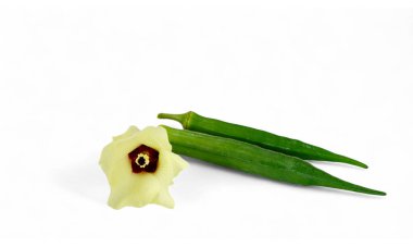 Close up of fresh Lady Fingers or Okra plant. Green vegetable Abelmoschus Esculentus with flowers at studio background. clipart